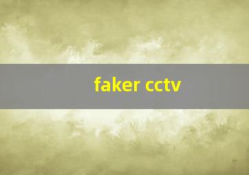 faker cctv